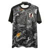 Camiseta de fútbol Japón Special 2024-25
